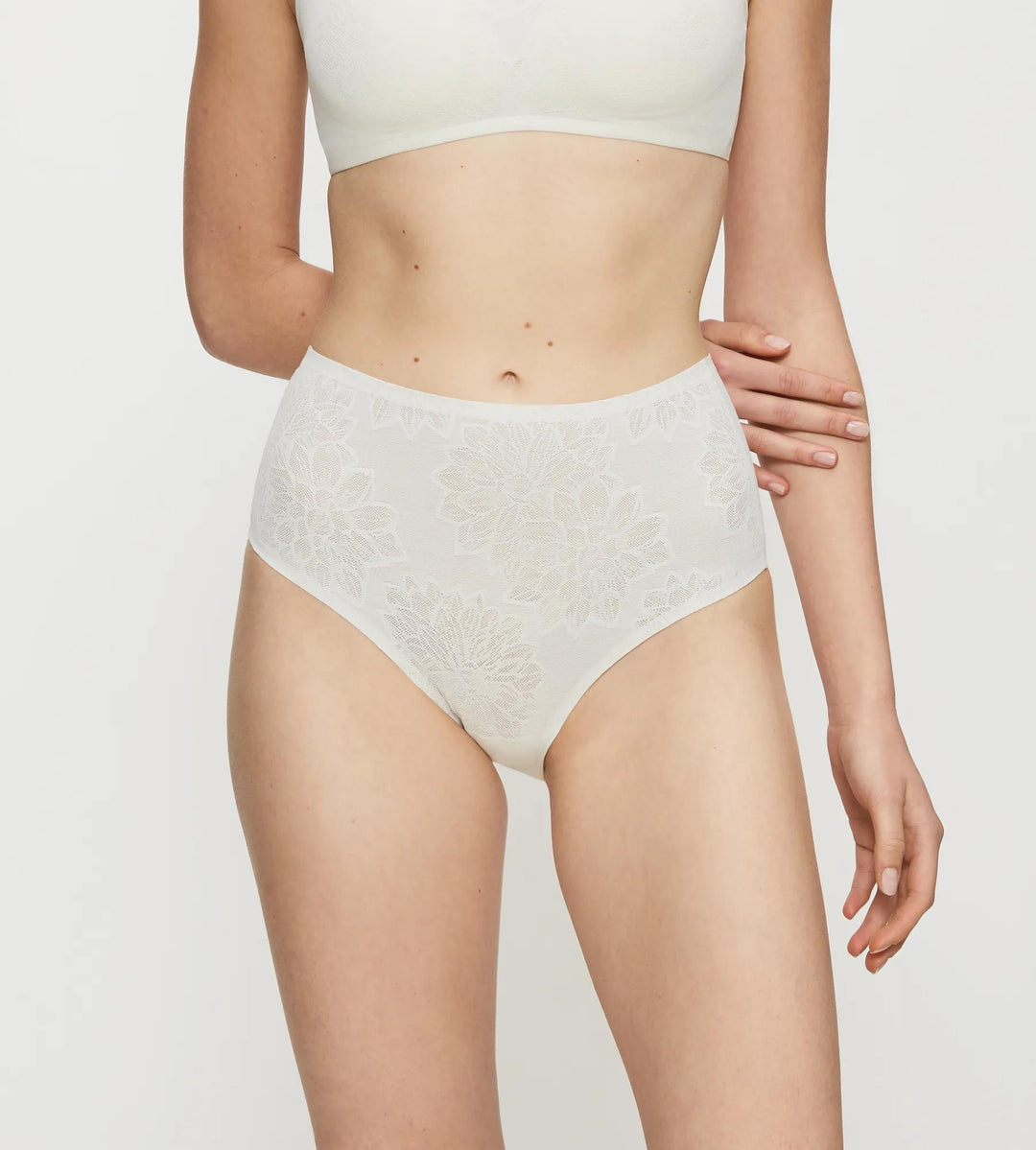 #culoare_0038-chrysantheme