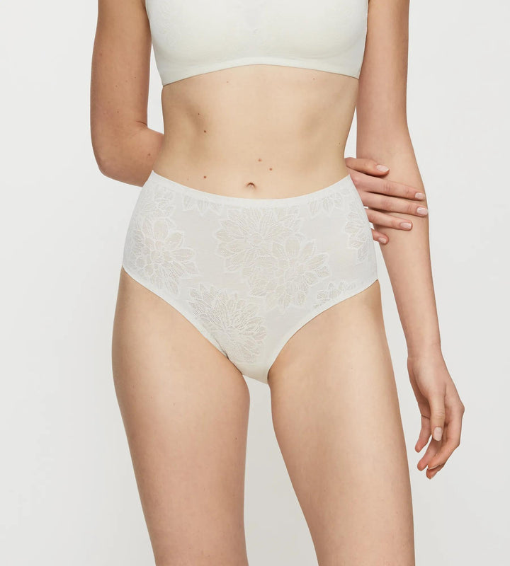 #culoare_0038-chrysantheme