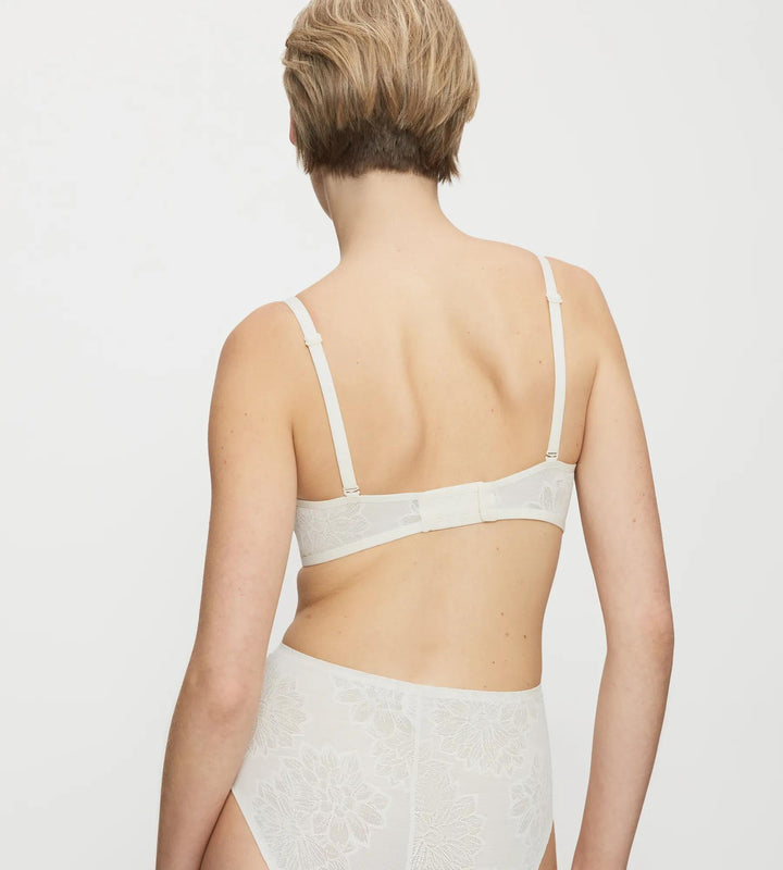 #culoare_0038-chrysantheme