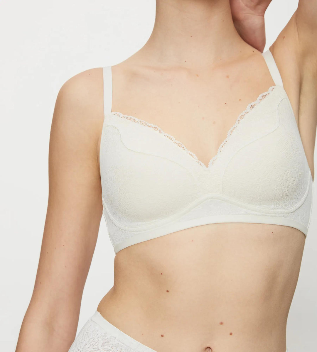#culoare_0038-chrysantheme