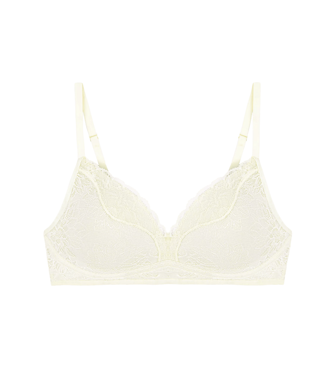 #culoare_0038-chrysantheme