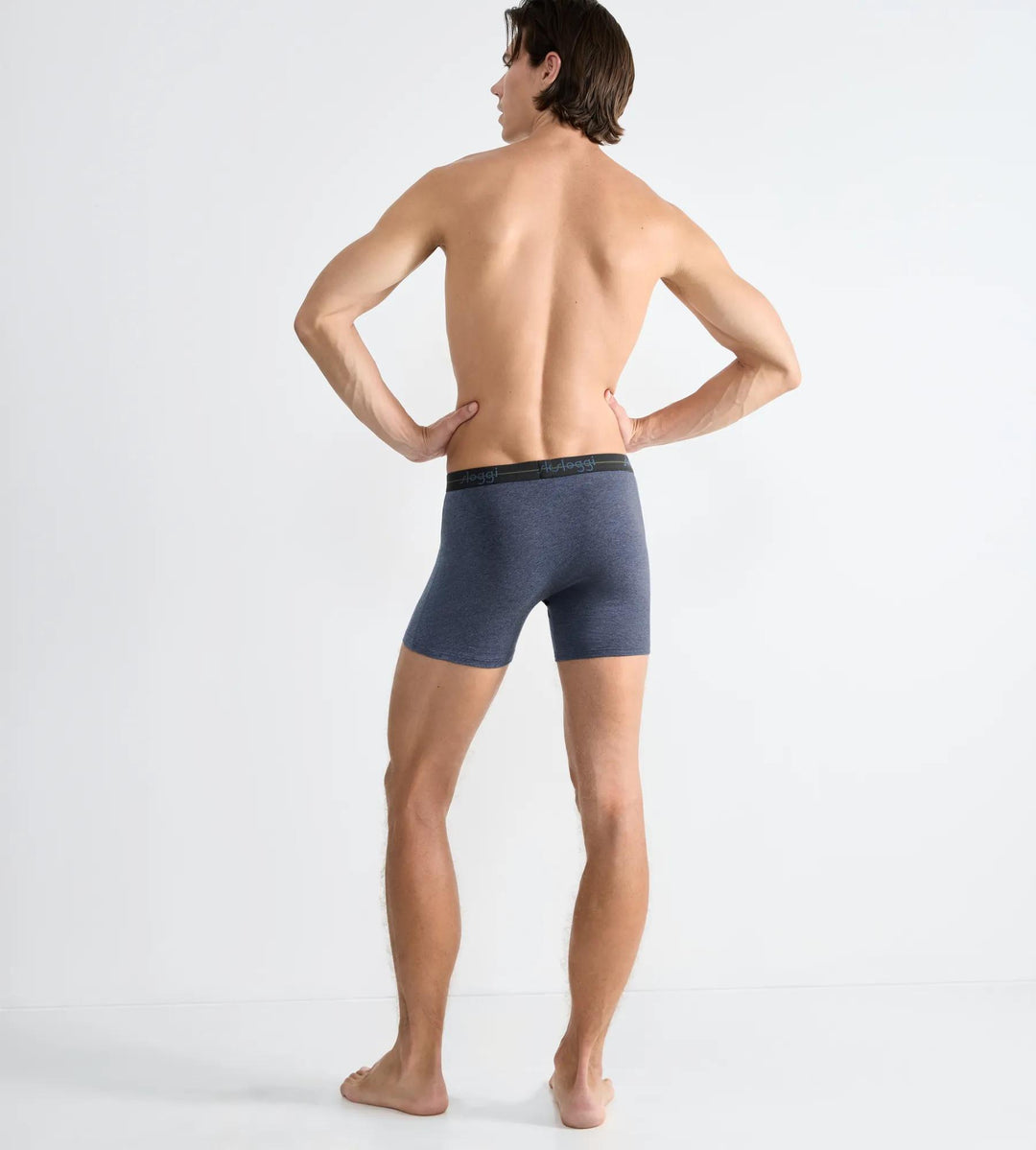 #culoare_v004-multiple-colours-4