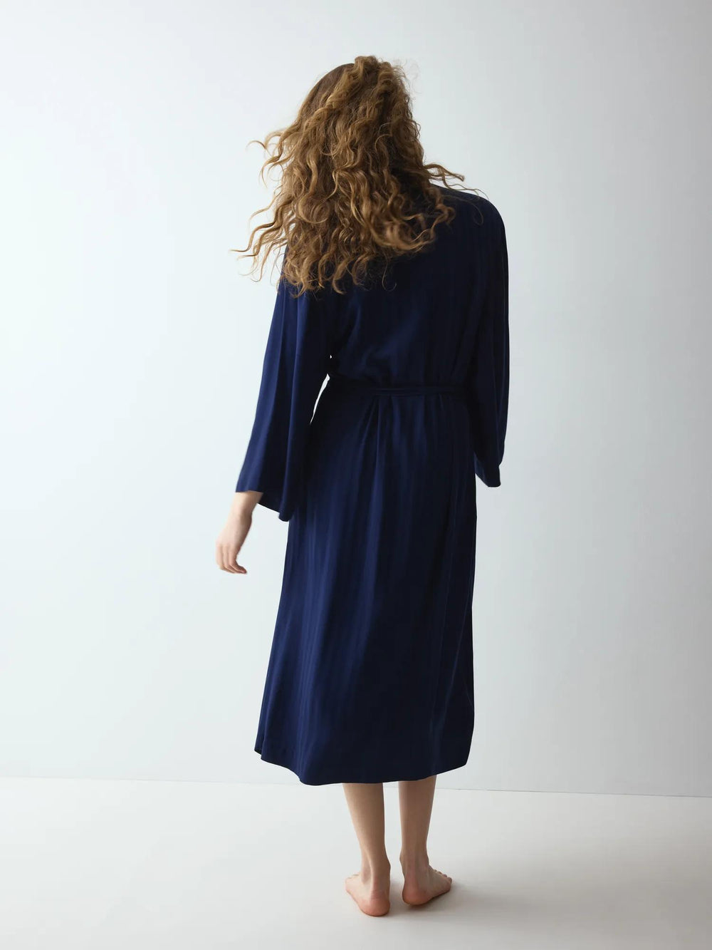 #culoare_00xf-admiral