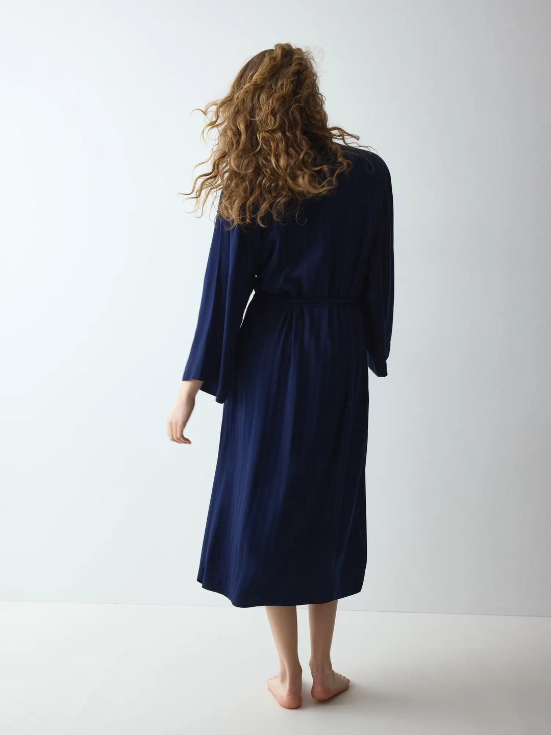 #culoare_00xf-admiral