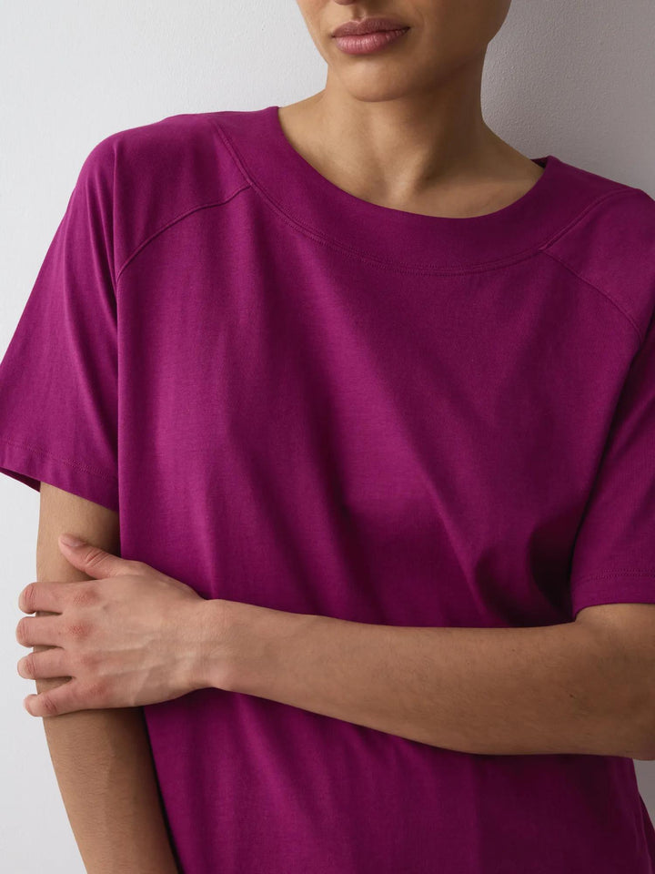 #culoare_7872-magenta-purple